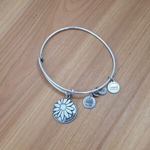 Alex and Ani Silver Cousin Charm Bracelet